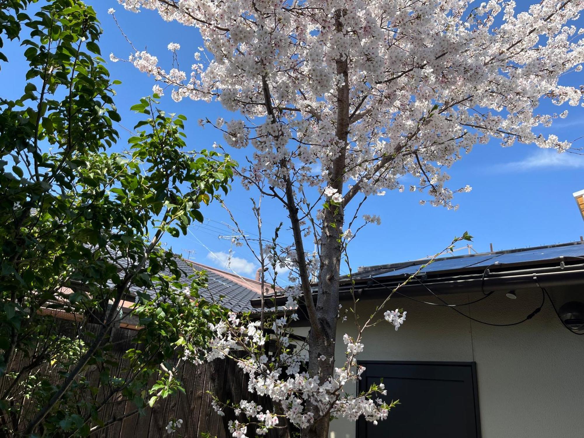 Nishijin No Sato 西陣之郷 -100 Yrs Smart & Sustainable Ai Arthouse With 10Gbps Wifi - Villa Kyoto Eksteriør bilde